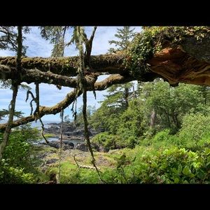 Meet your Posher, Angelica